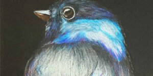 Chickadee-in-Blue